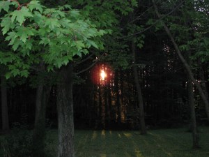 Home Aug 11 2012 028