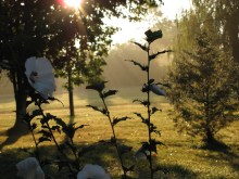 Home Sep 05 2012 005