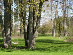 Orbs new house may02012 037