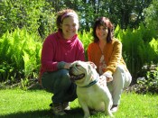 Pet Readings Day 020